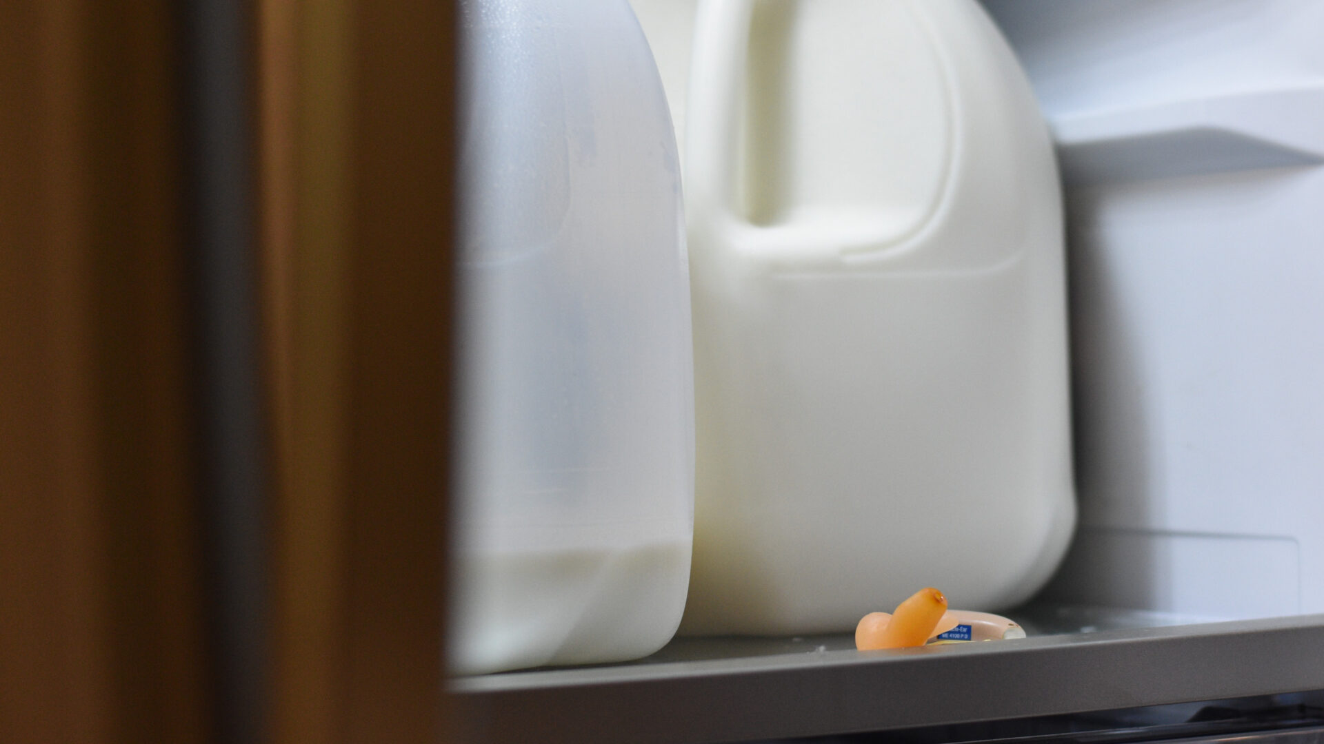 hearing aid on refrigerator shelf with two gallon milk jugs